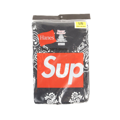 22AW ×Hanes バンダナ柄 クルーネック Tシャツ 2枚パック(Bandana Tagless Tees)