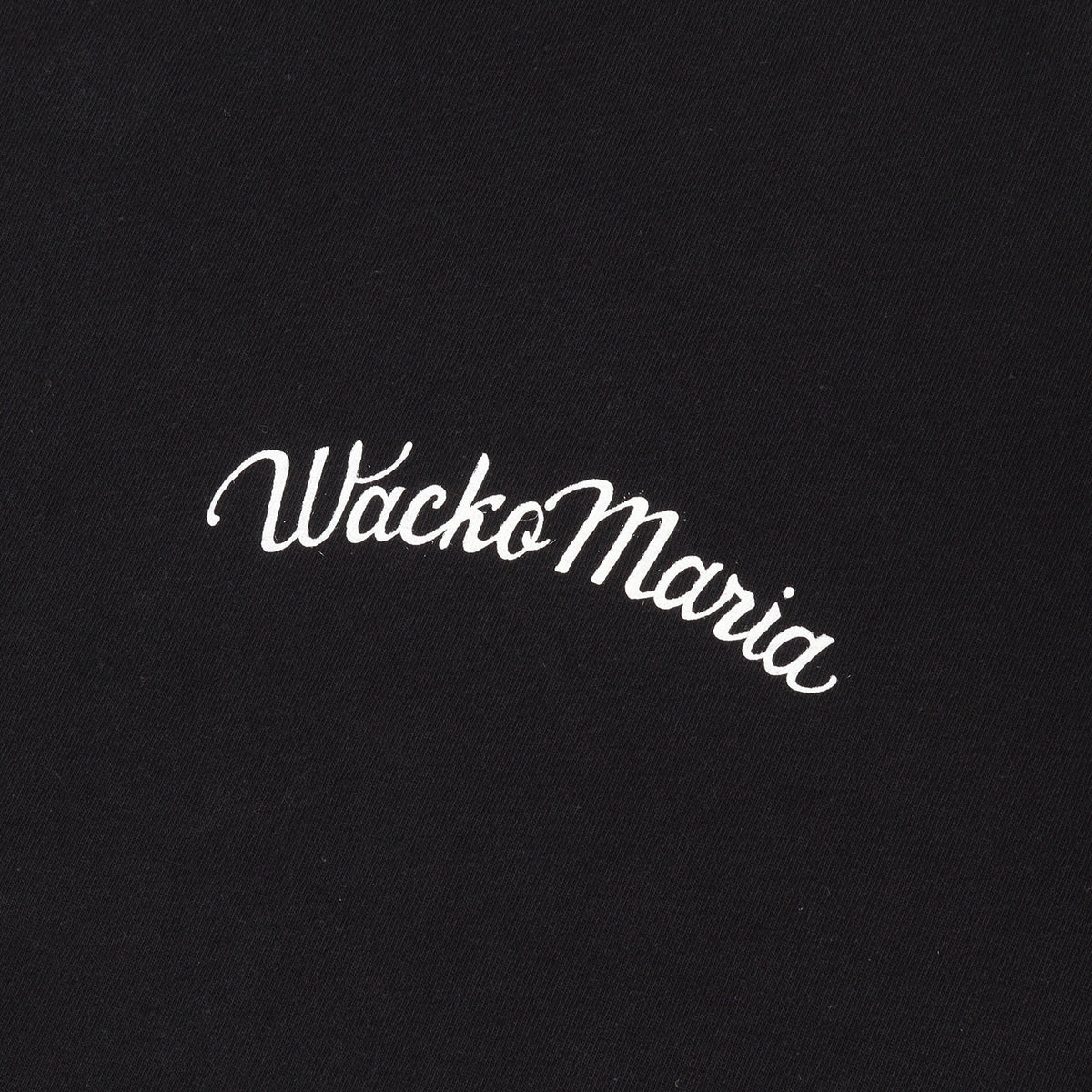 25AW ブランドロゴ ウォッシュド ヘビー Tシャツ(WASHED HEAVY WEIGHT CREW NECK T-SHIRT)