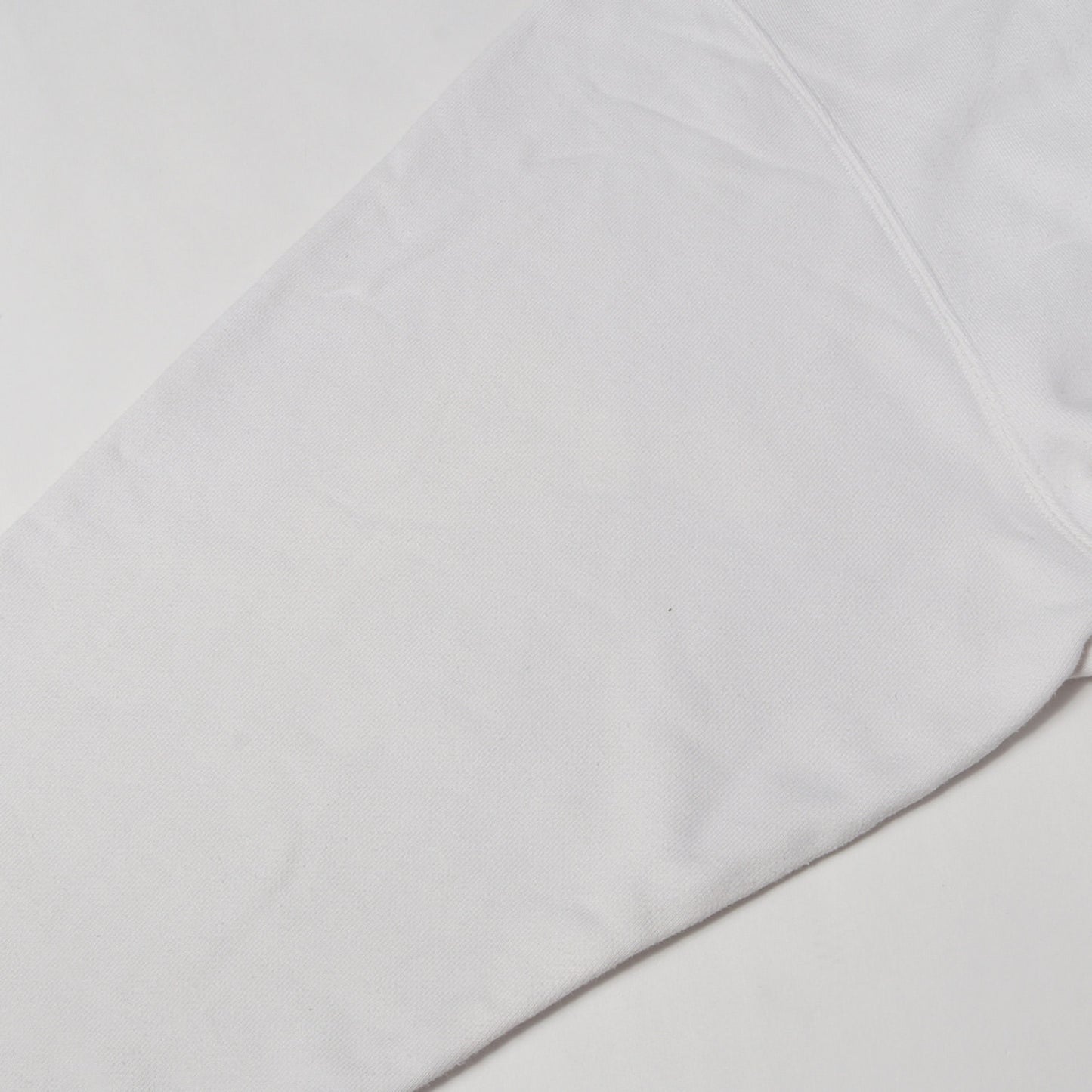 20SS ×YOUNG&OLSEN The DRYGOODS STORE ベートーベン バギー スウェットパーカー