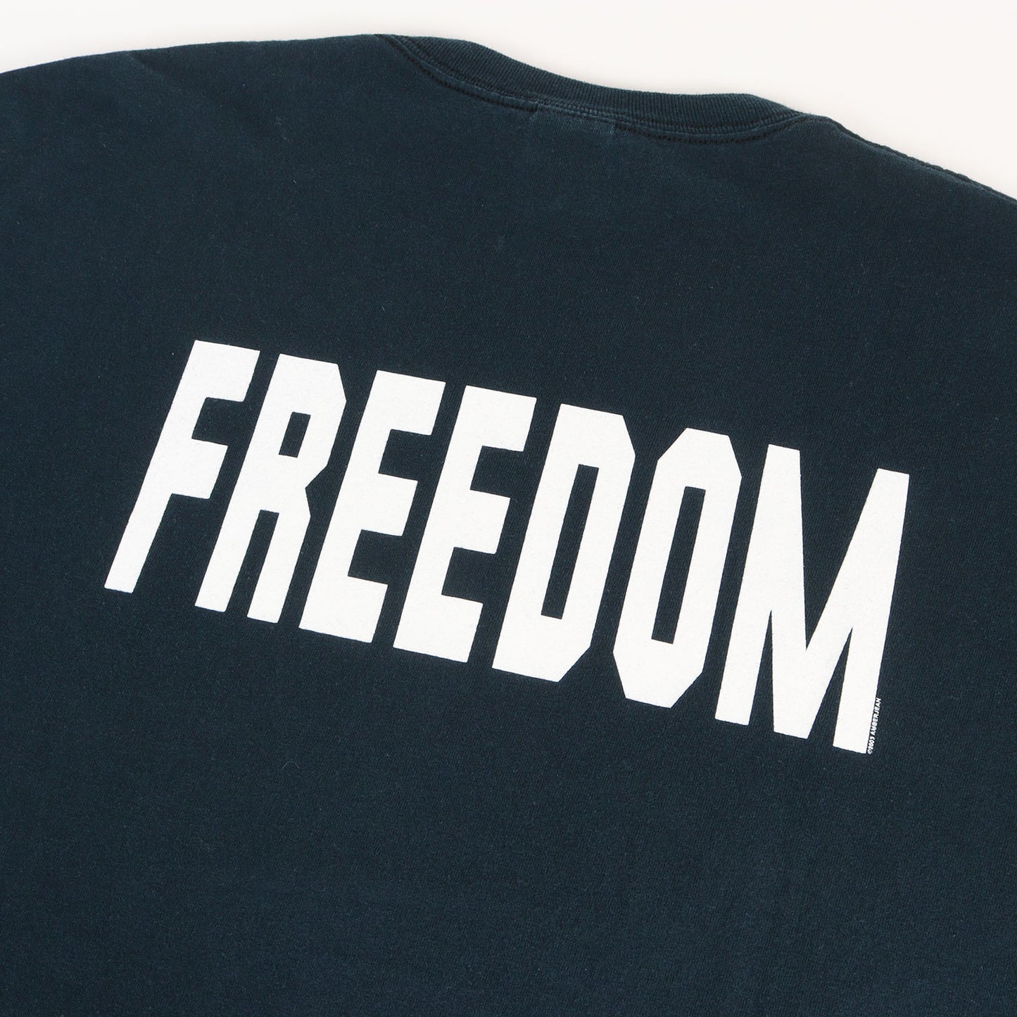 00s Neil Young & Crazy Horse FREEDOM ニール・ヤング Tシャツ / エルサルバドル製 anvil