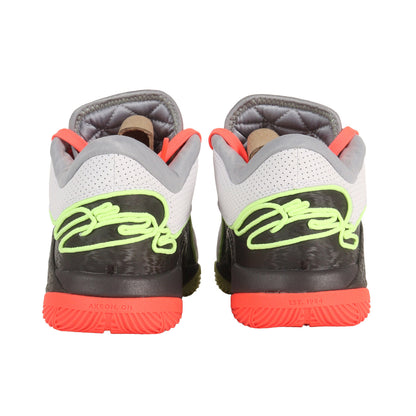 LEBRON XXII EP CROWN JEWEL (FZ1095-101)
