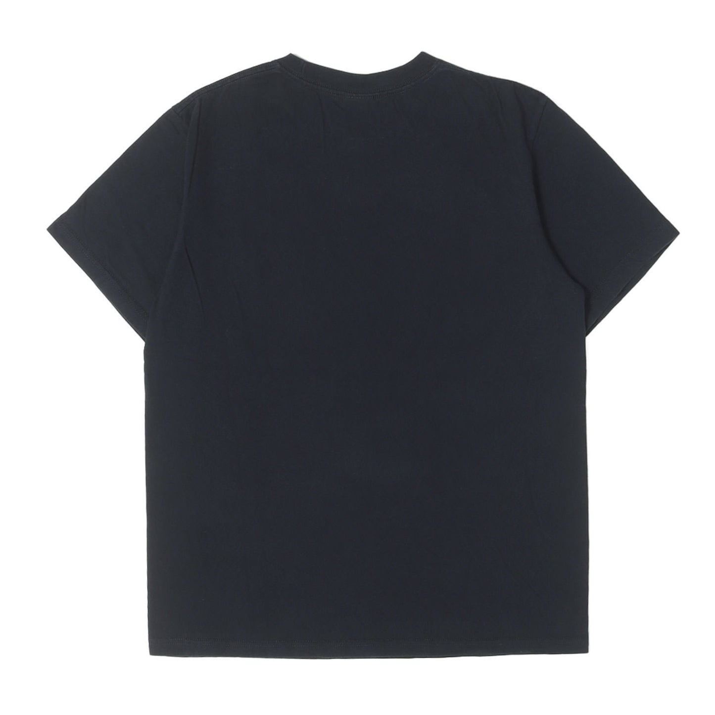 絵画グラフィック Tシャツ(D'Hiver Tee)