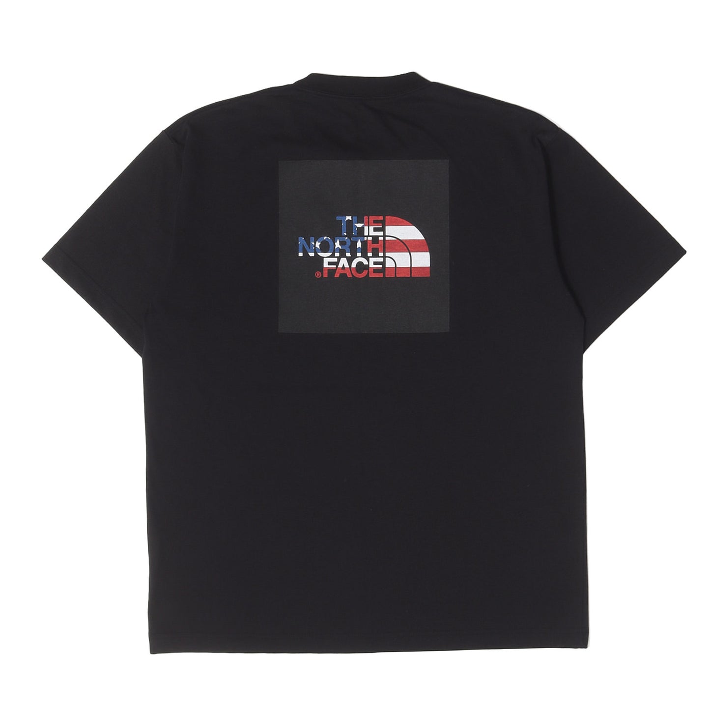 [2枚セット] 星条旗 スクエアロゴ Tシャツ (S/S National Flag Square Logo Tee)