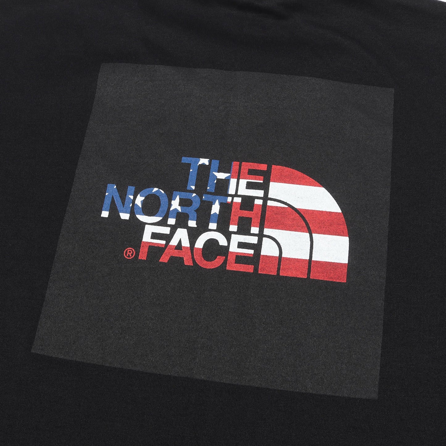 [2枚セット] 星条旗 スクエアロゴ Tシャツ (S/S National Flag Square Logo Tee)