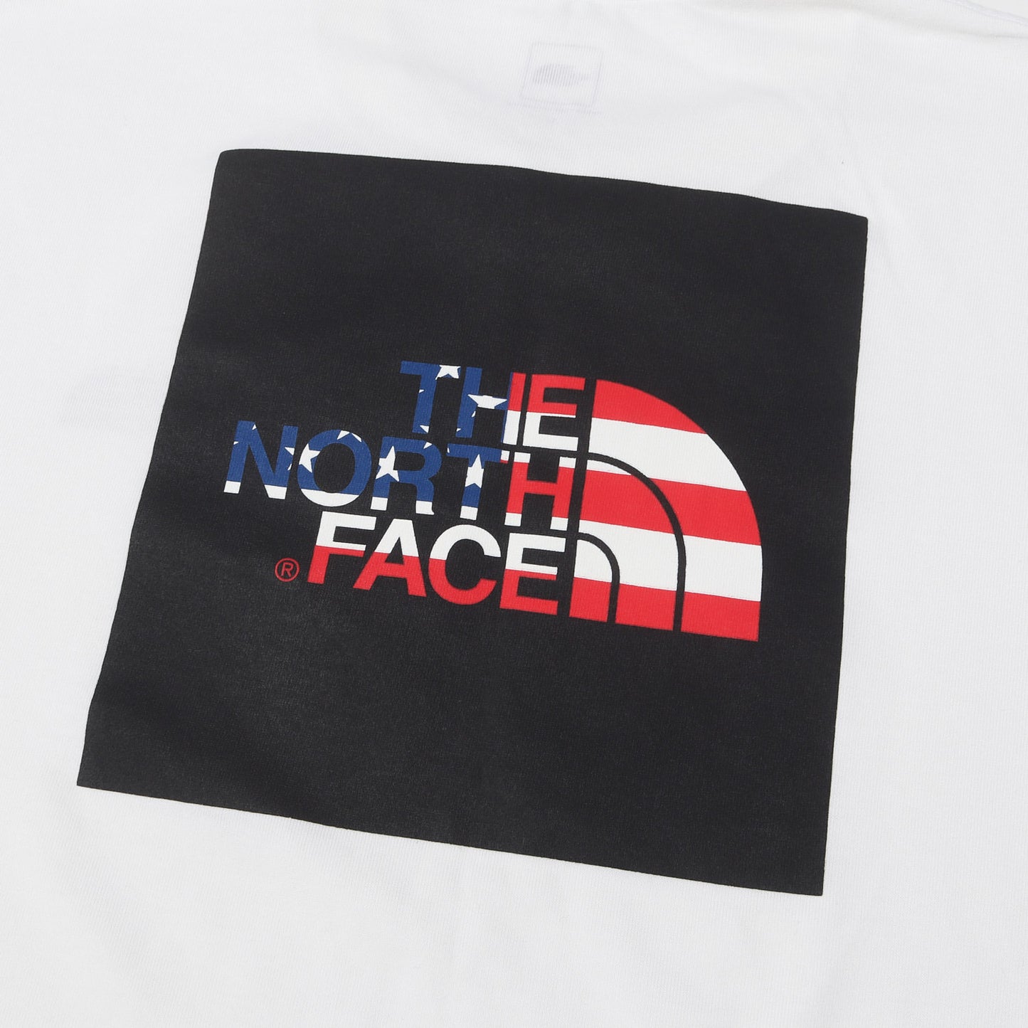 [2枚セット] 星条旗 スクエアロゴ Tシャツ (S/S National Flag Square Logo Tee)