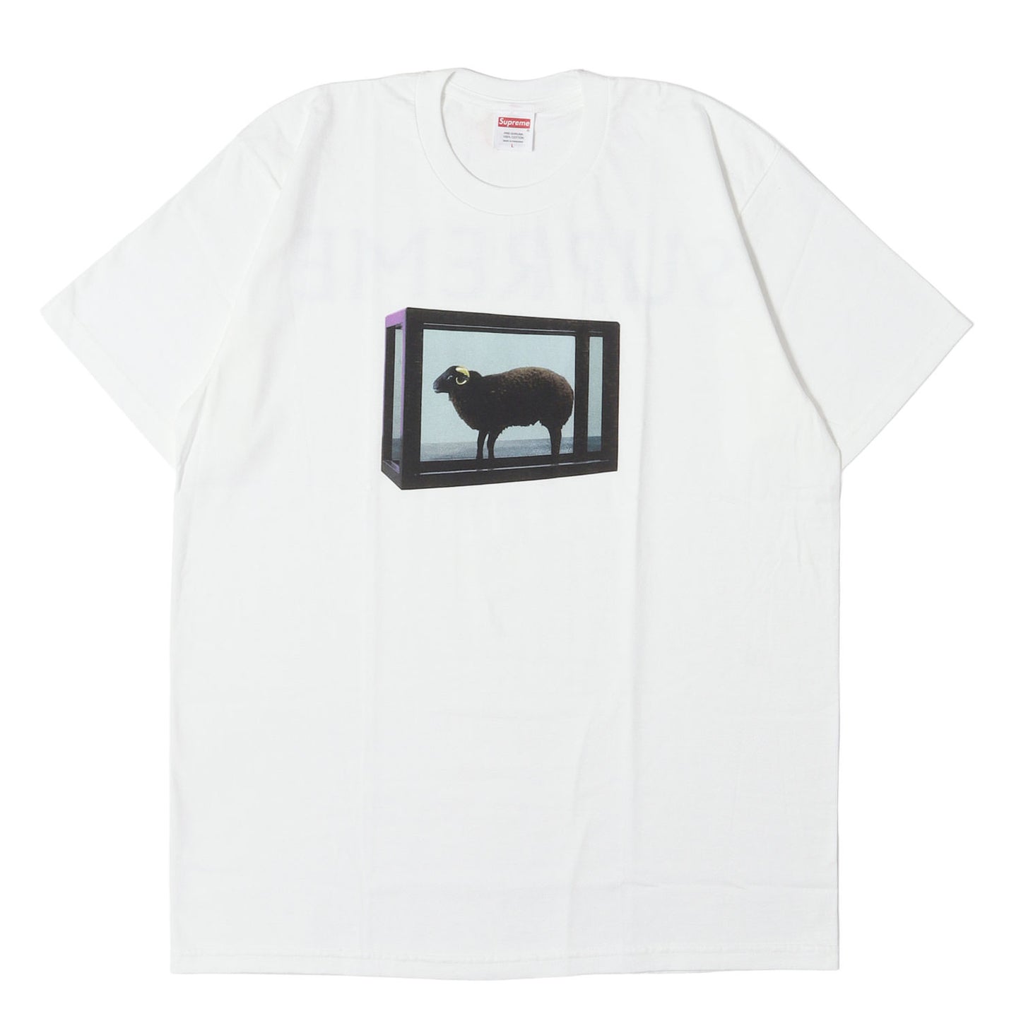 25SS ×Damien Hirst ブラックシープ Tシャツ(Tee)