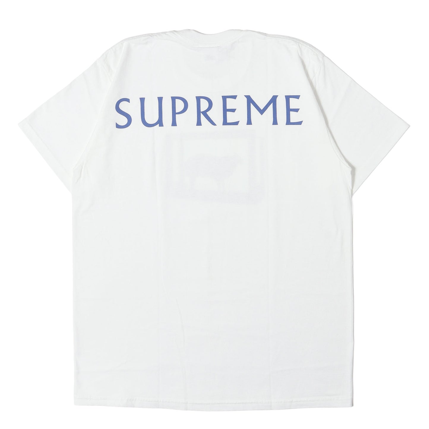25SS ×Damien Hirst ブラックシープ Tシャツ(Tee)