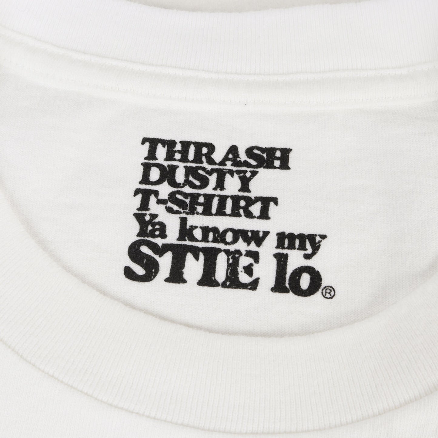 26SS ×Stie-lo ×Terry Richardson フォトプリント Tシャツ(Print Tee-B)