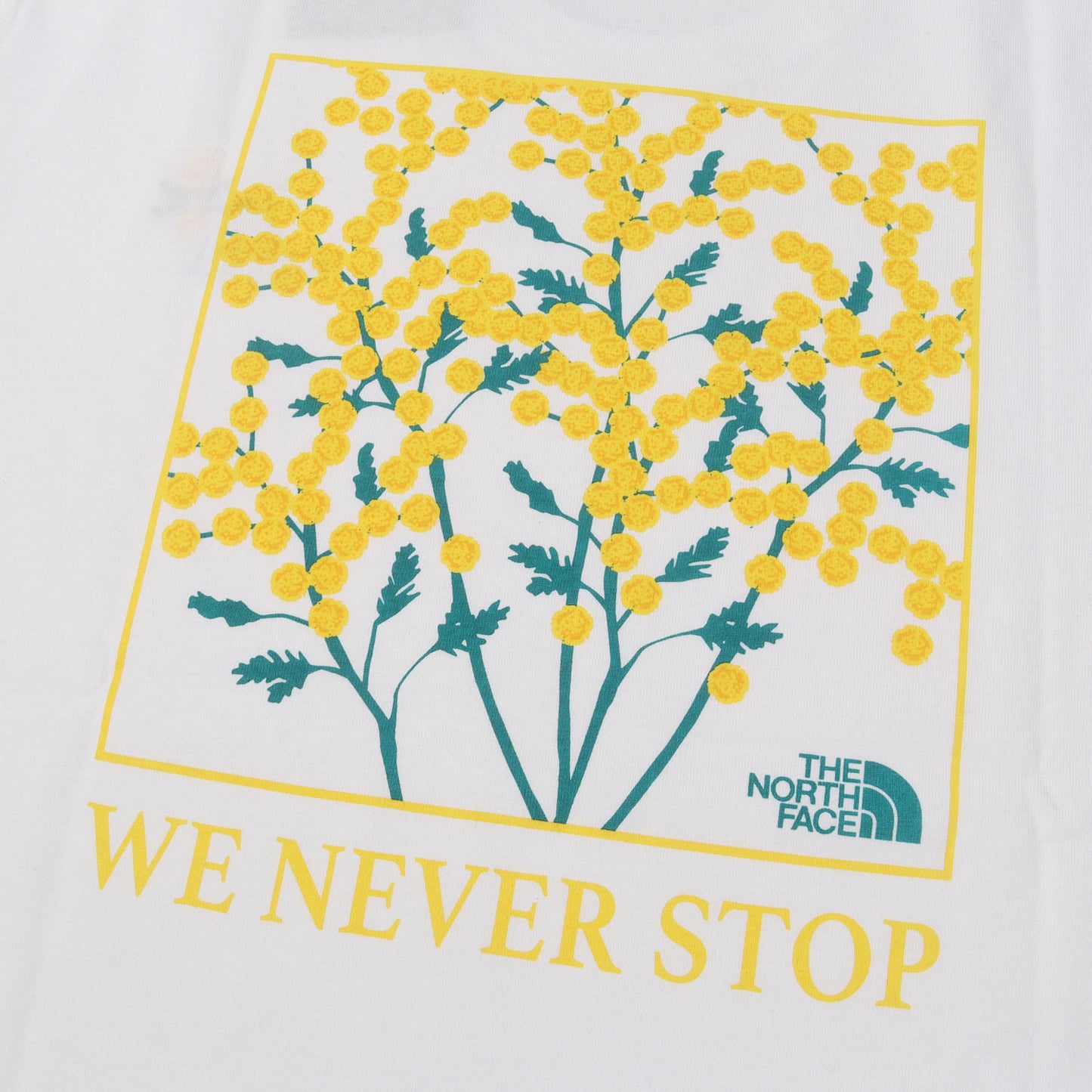 [2枚セット] 24SS 直営店限定 国際女性デー ミモザ フラワー Tシャツ (S/S IWD Graphic Tee)