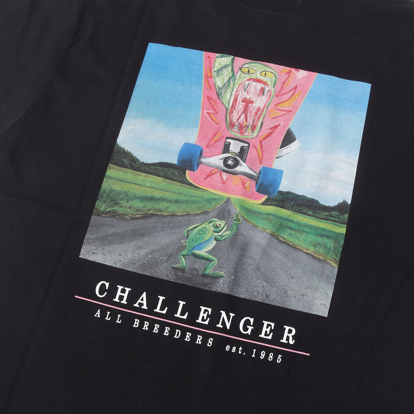 25SS バック イラスト Tシャツ(FROG TEE)