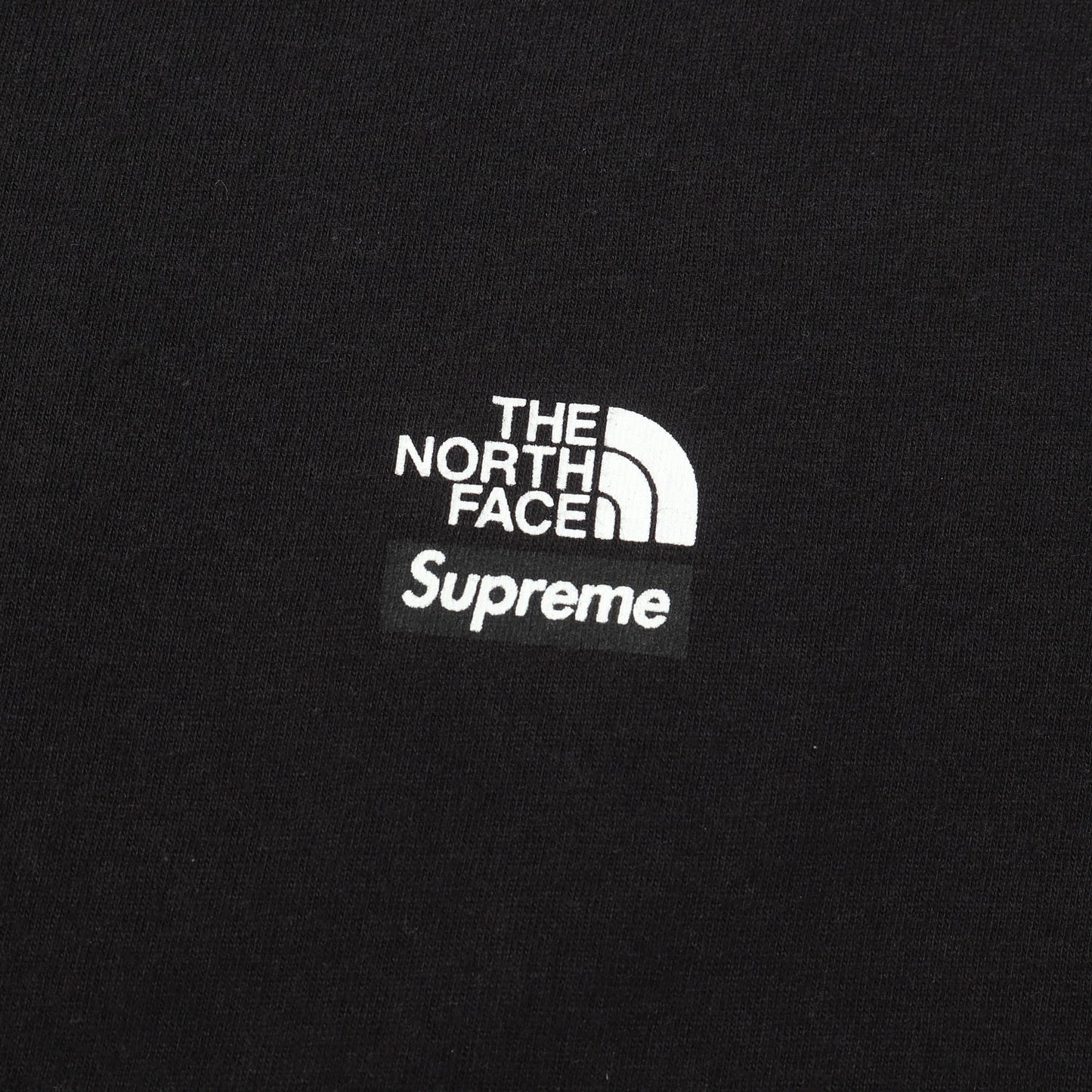 21AW ×THE NORTH FACE マウンテン プリント Tシャツ(Mountains Tee)