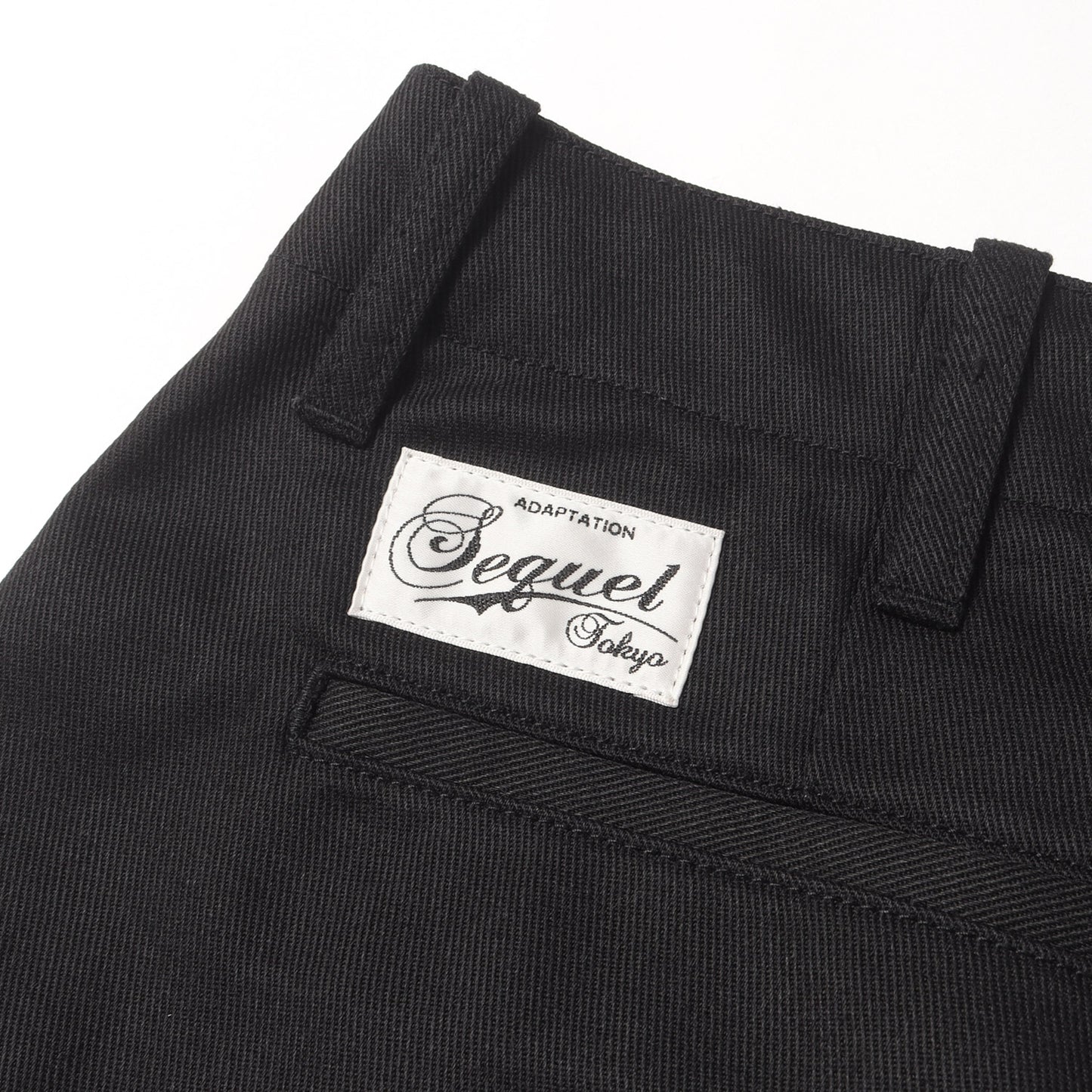 24AW T/Cツイル ワーク チノパンツ (CHINO PANTS TYPE-F)