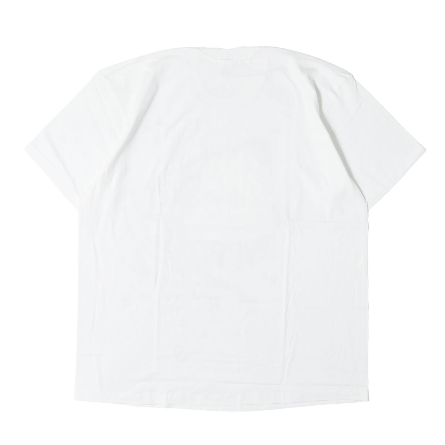 23AW ×BLESS グラフィック プリント Tシャツ(Observed In A Dream Tee)