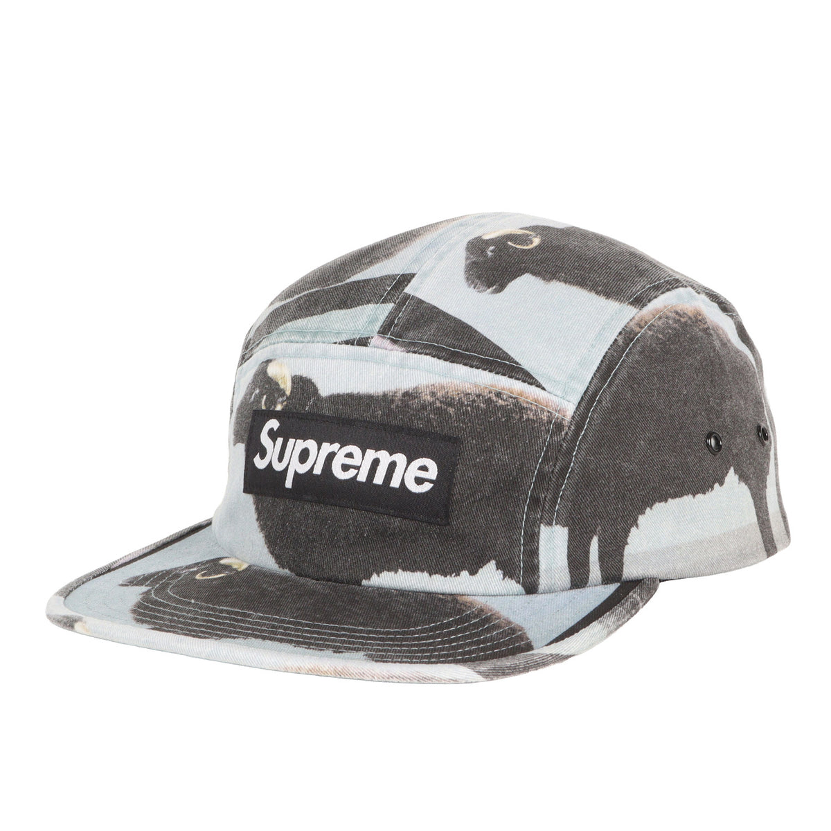 25SS ×Damien Hirst ブラックシープ柄 BOXロゴ キャンプキャップ(Camp Cap)