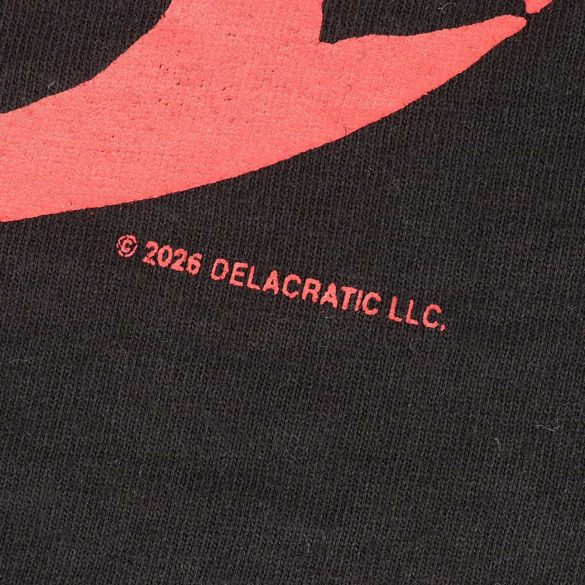 26SS ×DE LA SOUL サンフェード加工 ロングスリーブ Tシャツ(LS TEE)