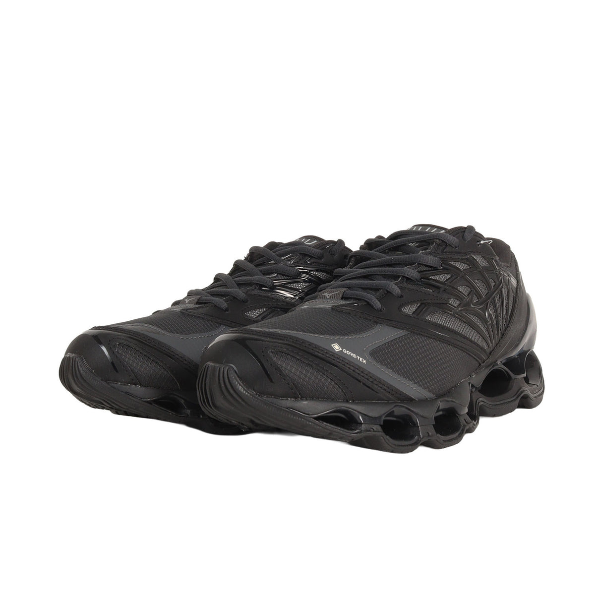 25AW WAVEPROPHECY LS GTX (D1GA256001)