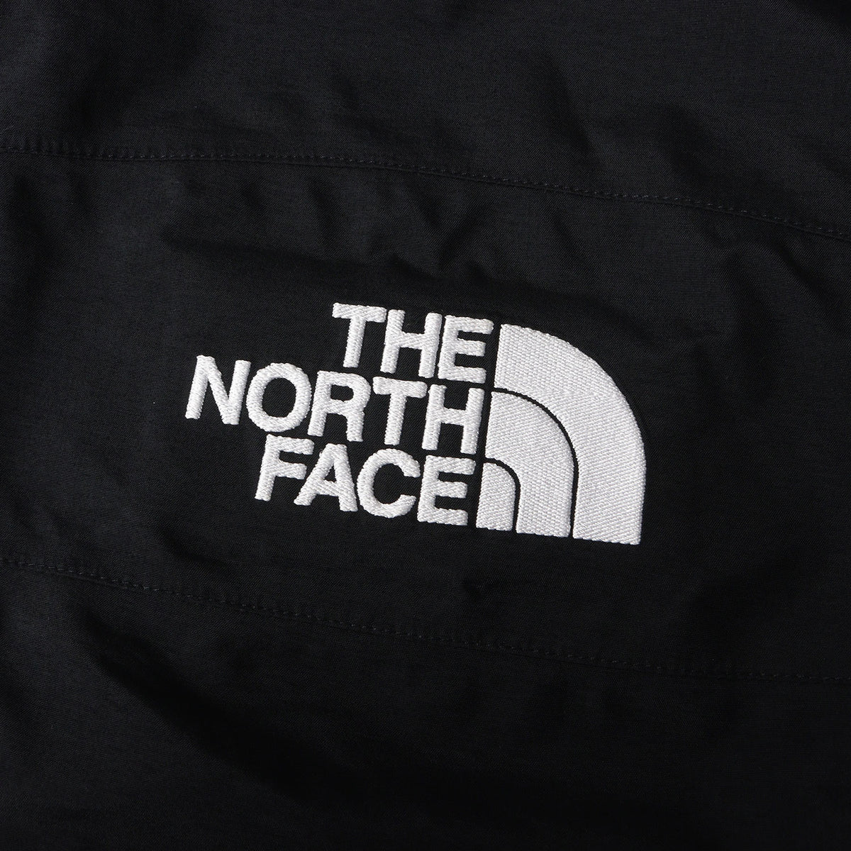 ×THE NORTH FACE 星条旗ワッペン ゴアテックス パンツ(Trans Antarctica Expedition Gore-Tex Pant)