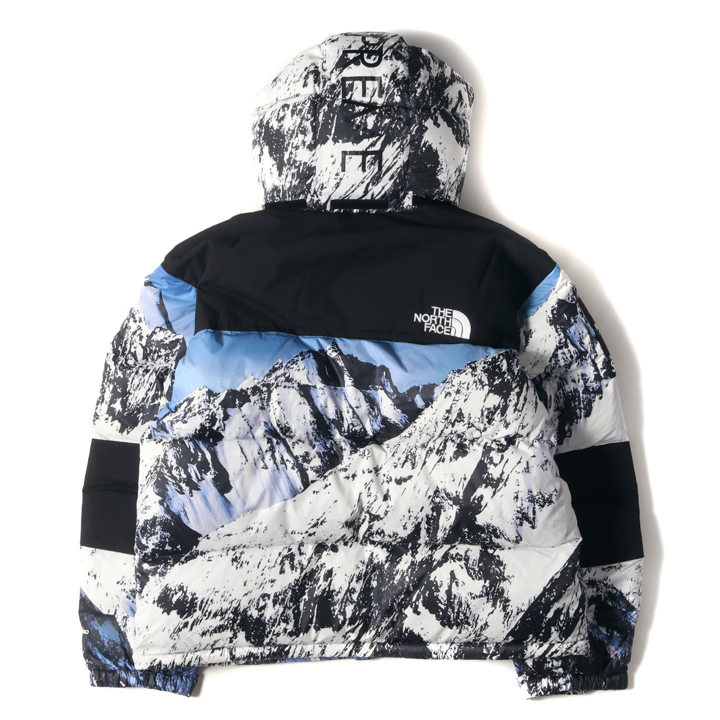 17AW ×THE NORTH FACE 雪山柄 マウンテン バルトロ ダウンジャケット(Mountain Baltoro Jacket)