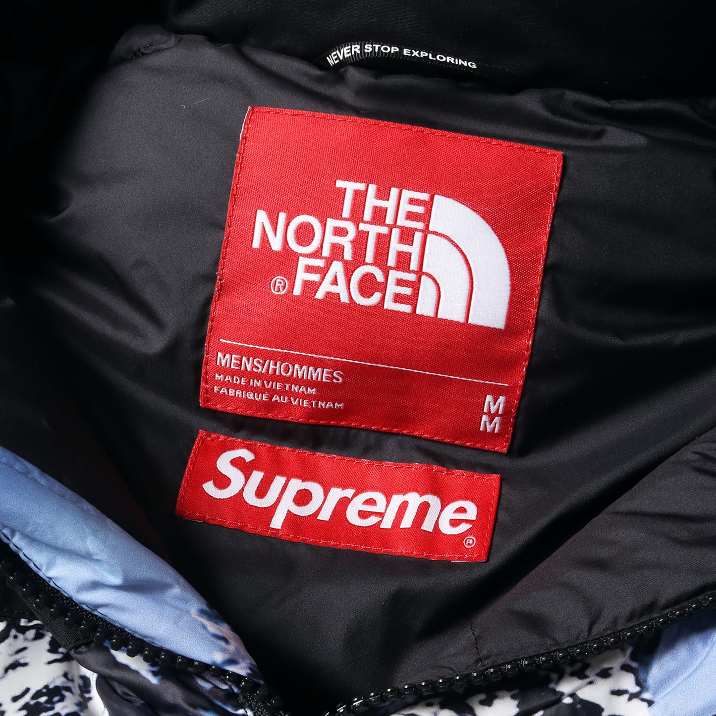 17AW ×THE NORTH FACE 雪山柄 マウンテン バルトロ ダウンジャケット(Mountain Baltoro Jacket)