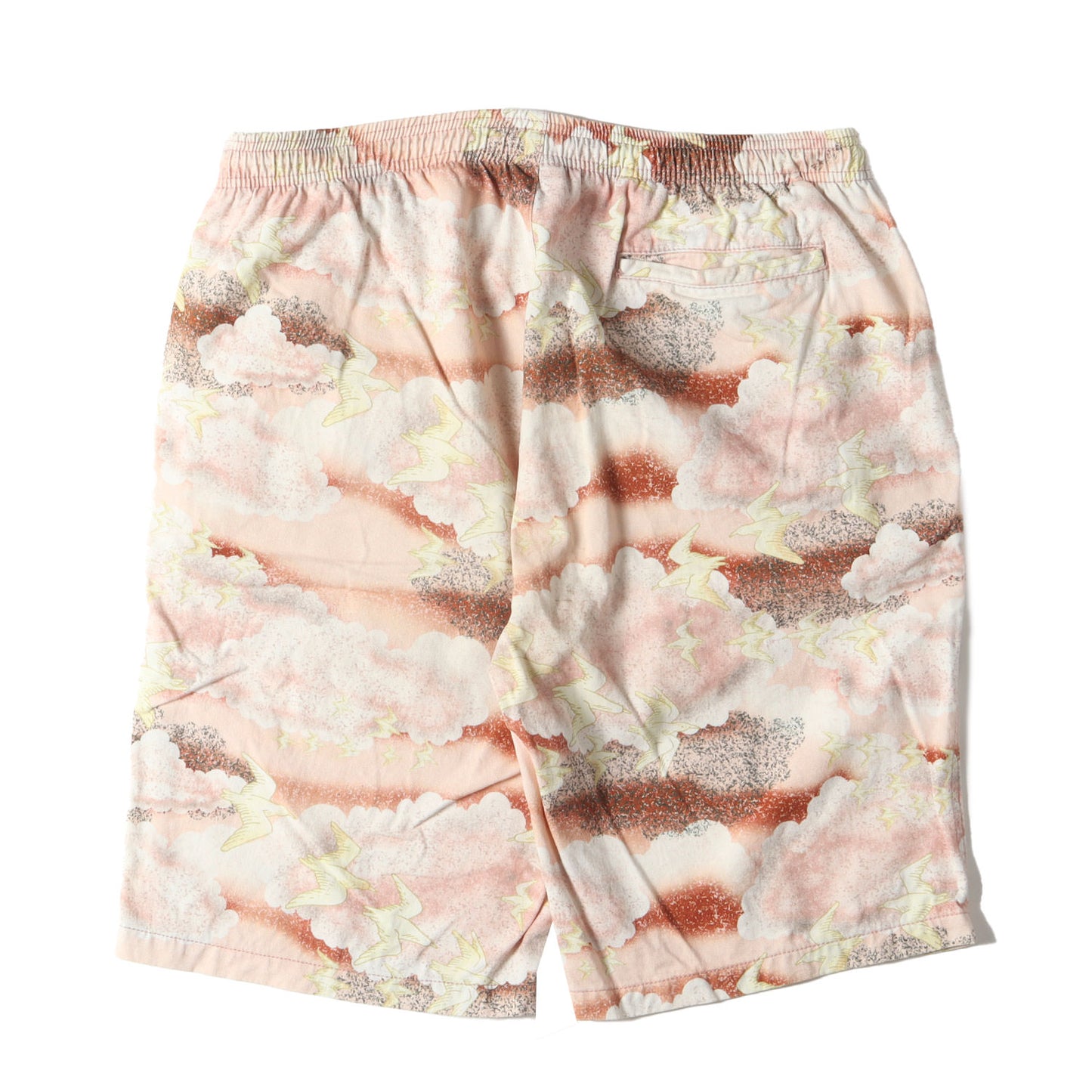 バード 全面グラフィック イージーショーツ(CLOUDS AND BIRDS SHORTS)