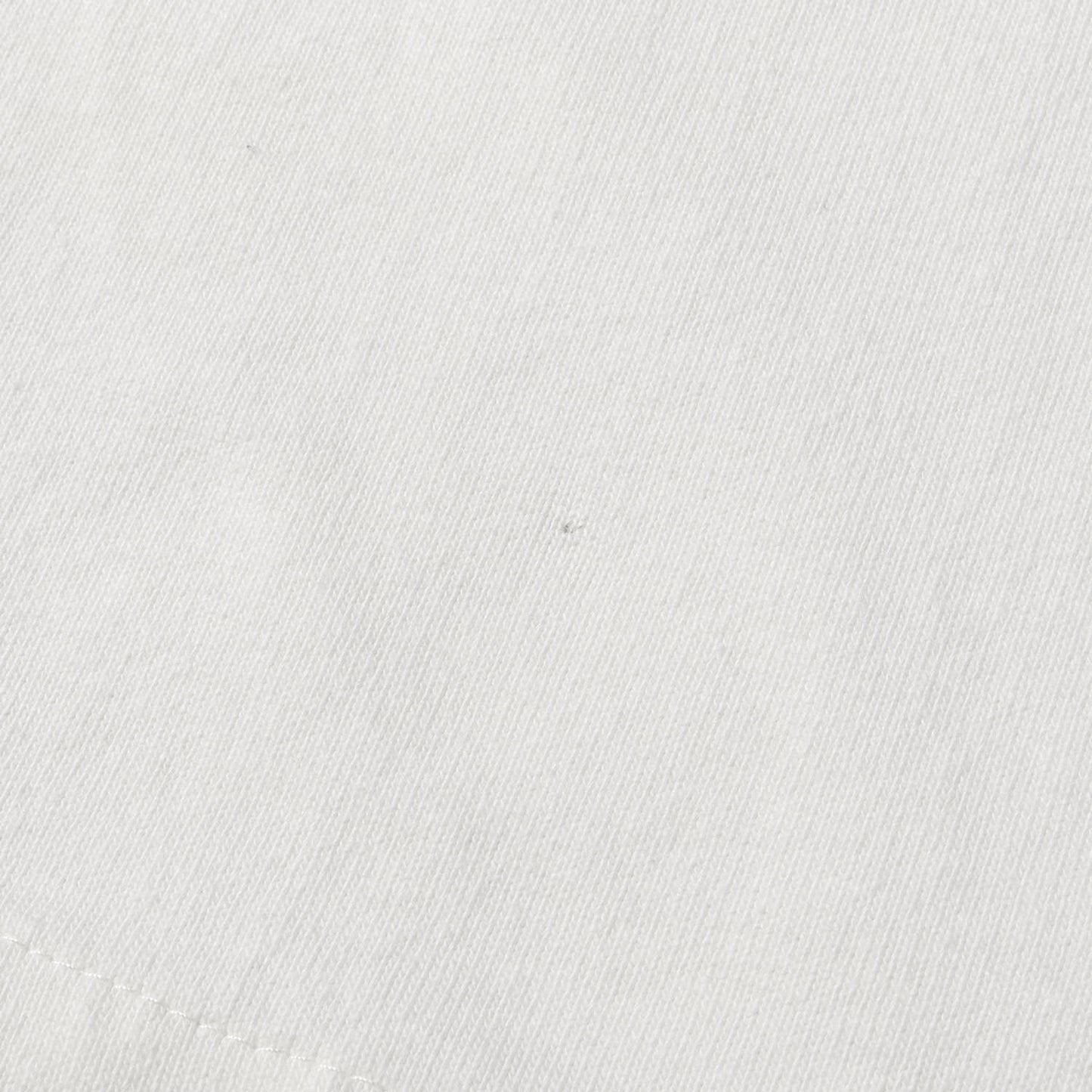 22AW ワッペン付き オーバーサイズ ヘビー Tシャツ