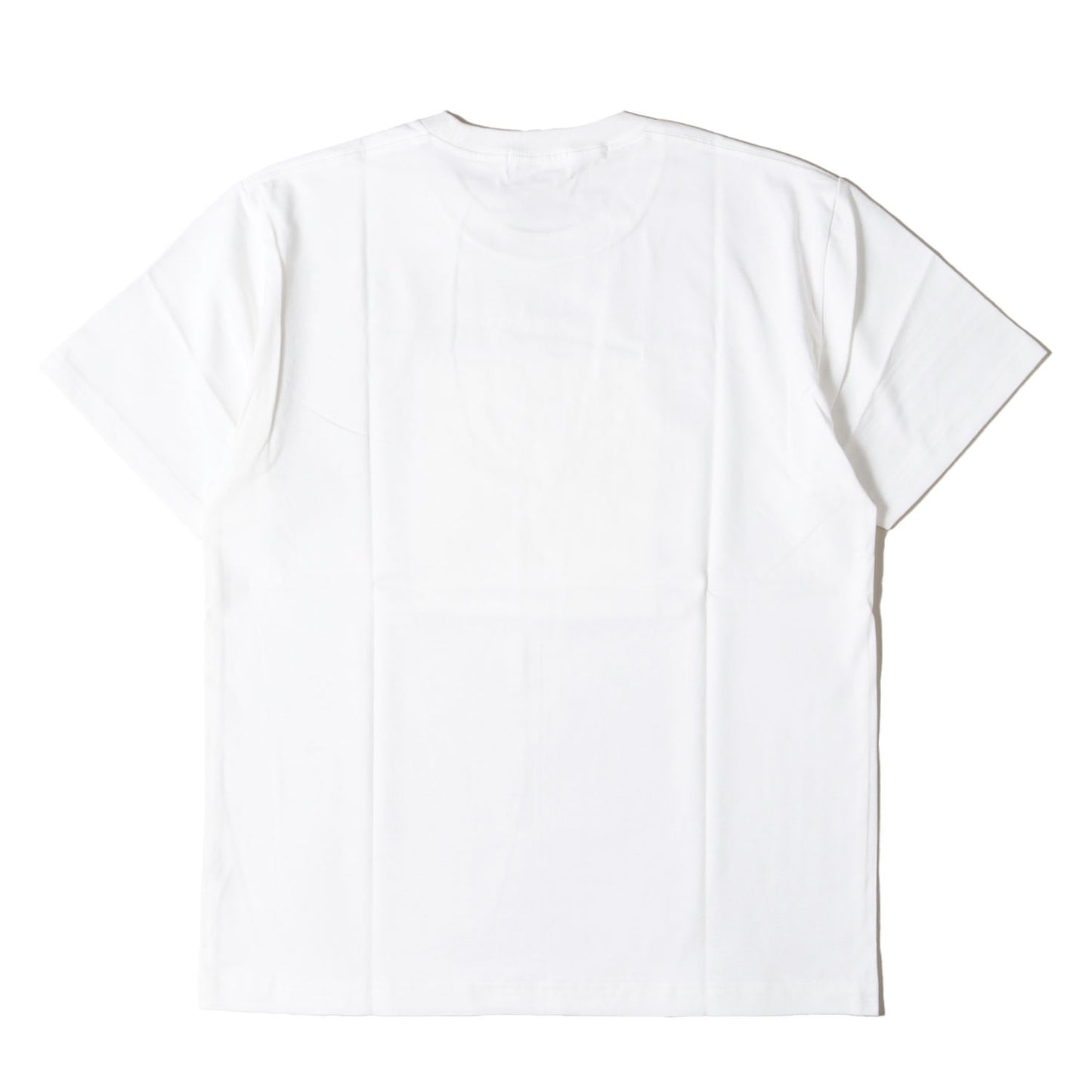 レディー フォト ヘビー Tシャツ