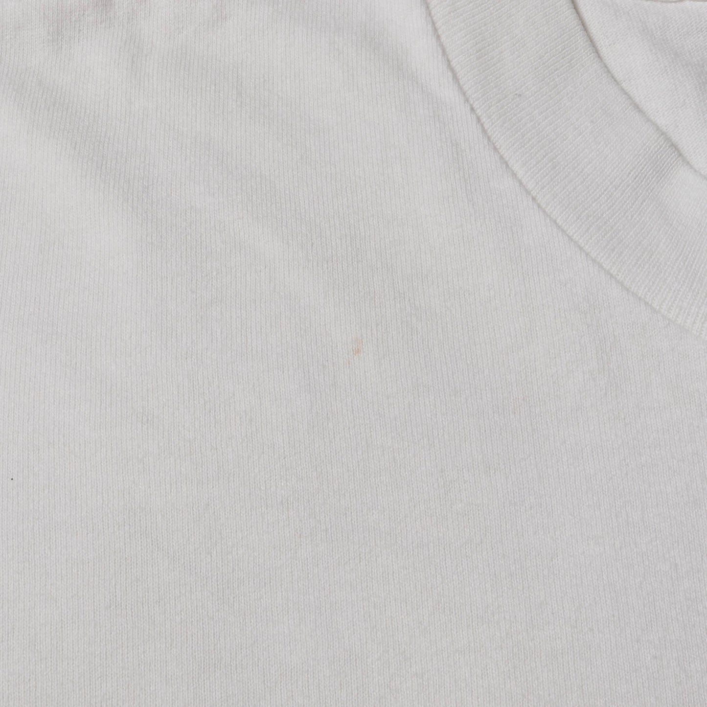 90s オールドモデル スクロールロゴ ポケットTシャツ(anvilボディ)