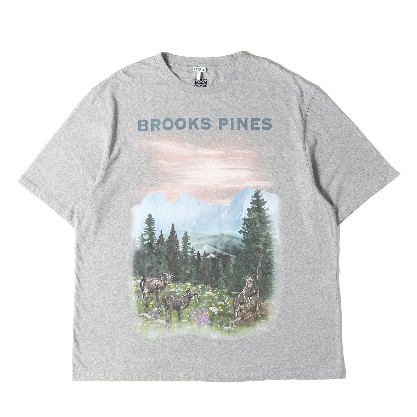 近年モデル ブルックス パインズ オーバーサイズ Tシャツ(Brooks Pines T-Shirt)