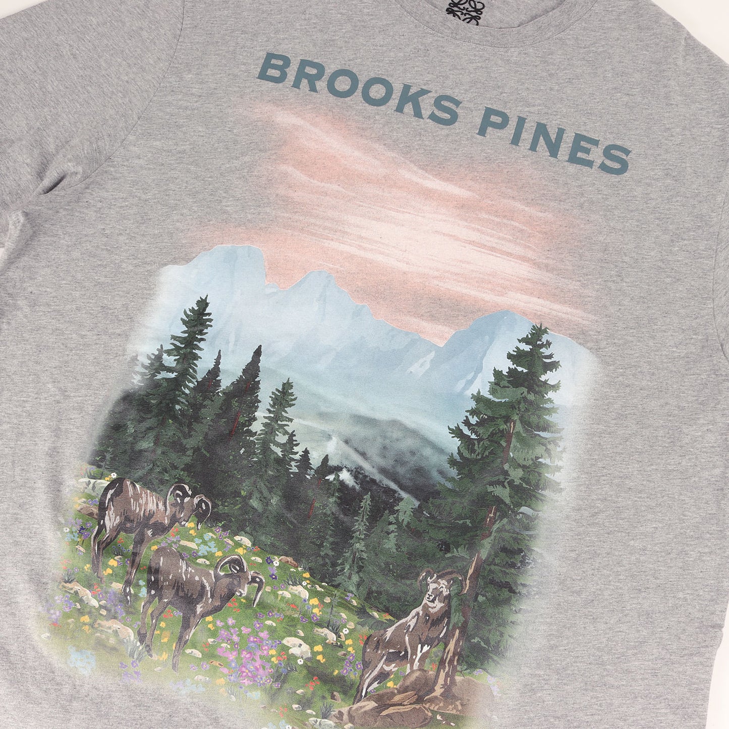 近年モデル ブルックス パインズ オーバーサイズ Tシャツ(Brooks Pines T-Shirt)