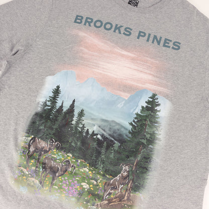 近年モデル ブルックス パインズ オーバーサイズ Tシャツ(Brooks Pines T-Shirt)