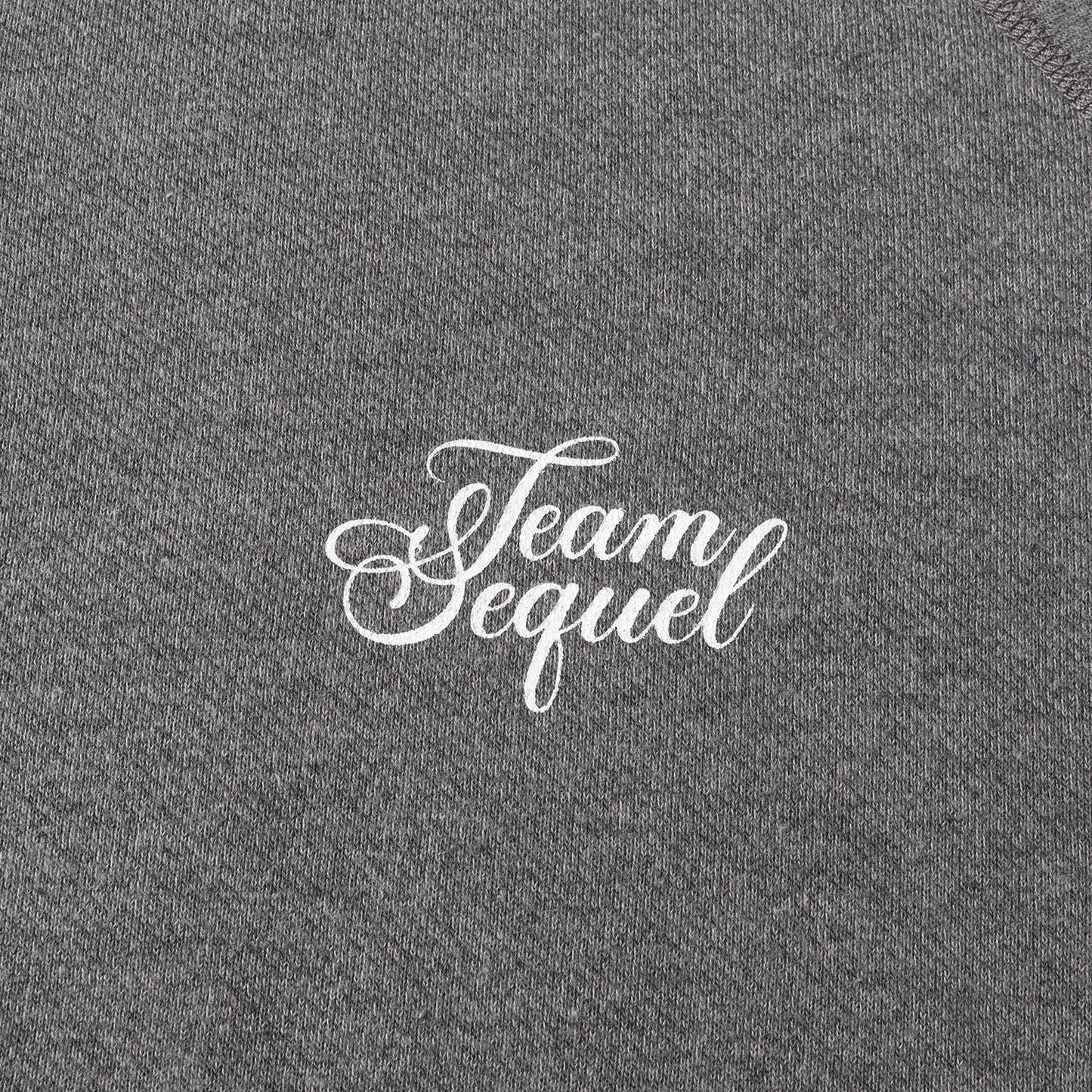 24SS ブランドロゴ ジップ スウェットパーカー(ZIP HOODIE)