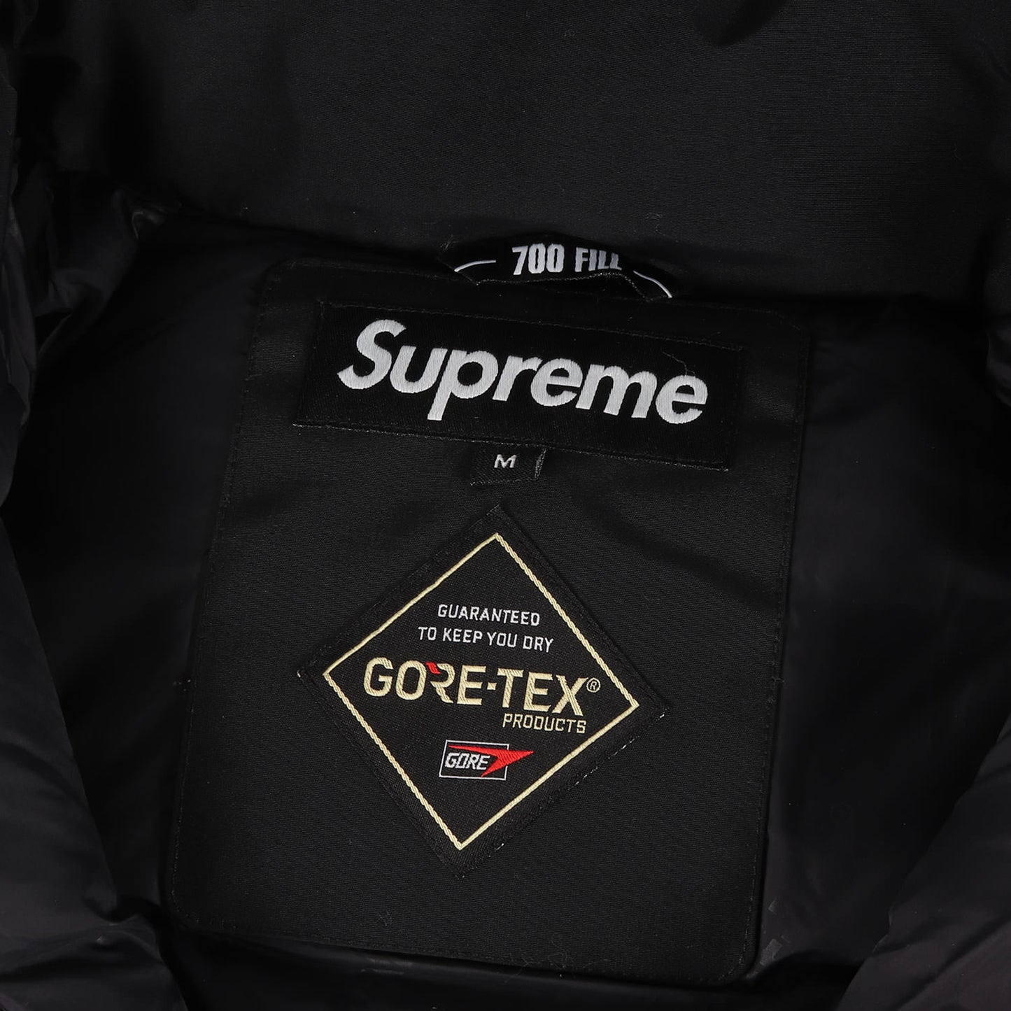 ゴアテックス ナイロン ダウンパーカー / ジャケット(GORE-TEX 700-Fill Down Parka)