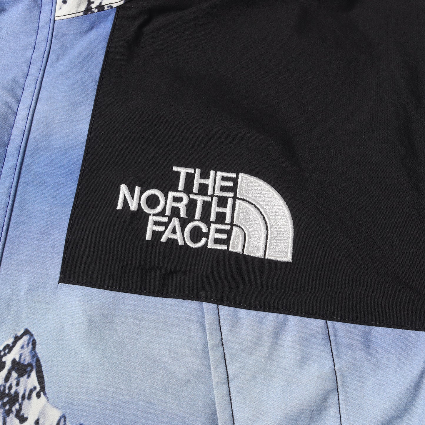 ×THE NORTH FACE 雪山 マウンテンパーカー / ジャケット(Mountain Parka)
