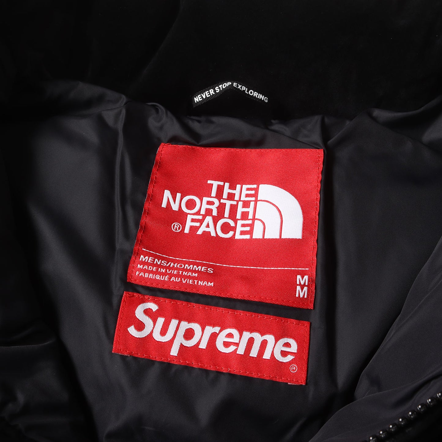 23AW 日本未発売 ×THE NORTH FACE スウェード ヌプシ ダウンジャケット(Suede Nuptse Jacket)