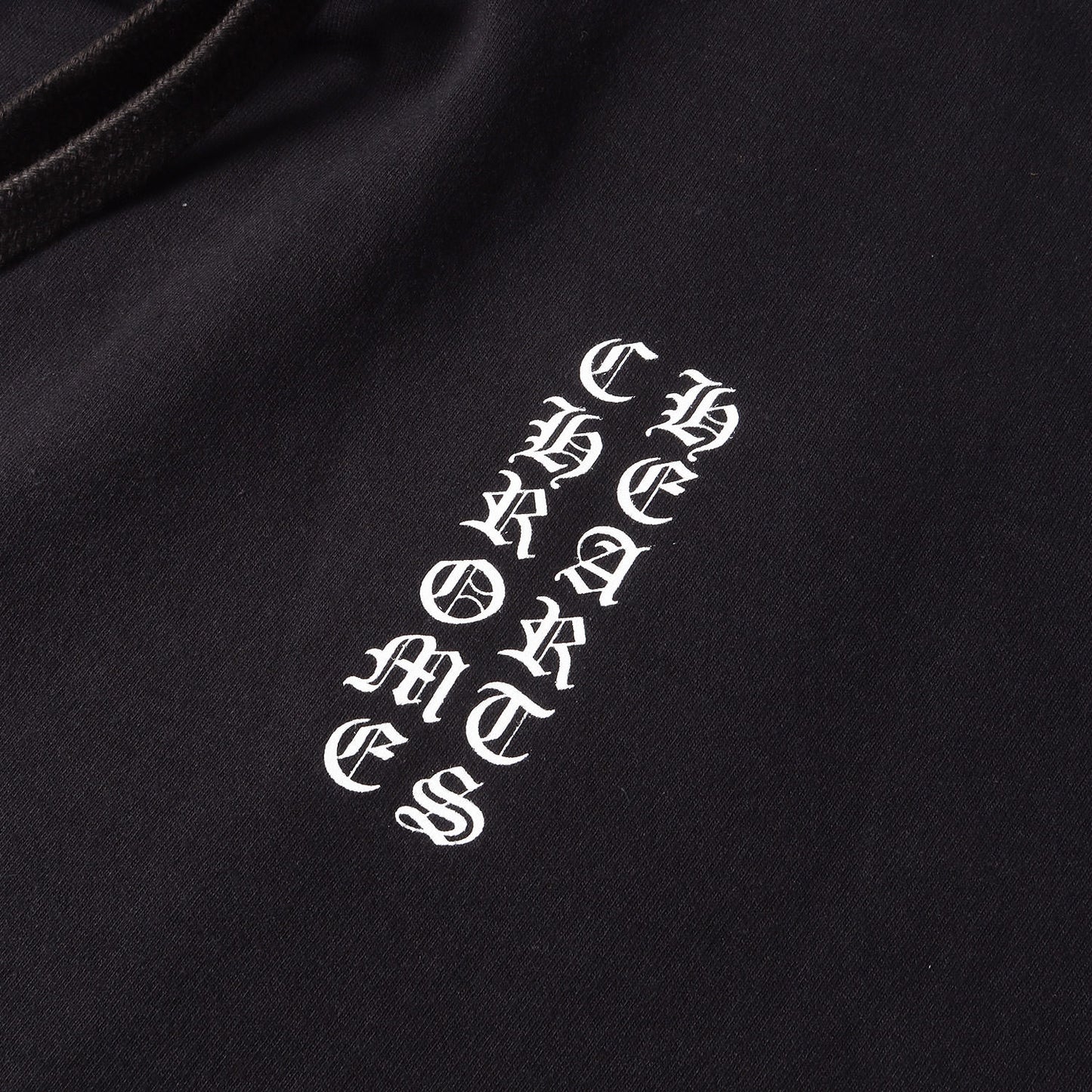 近年モデル ブランドロゴ スウェットパーカー(SWTSHRT PLV)