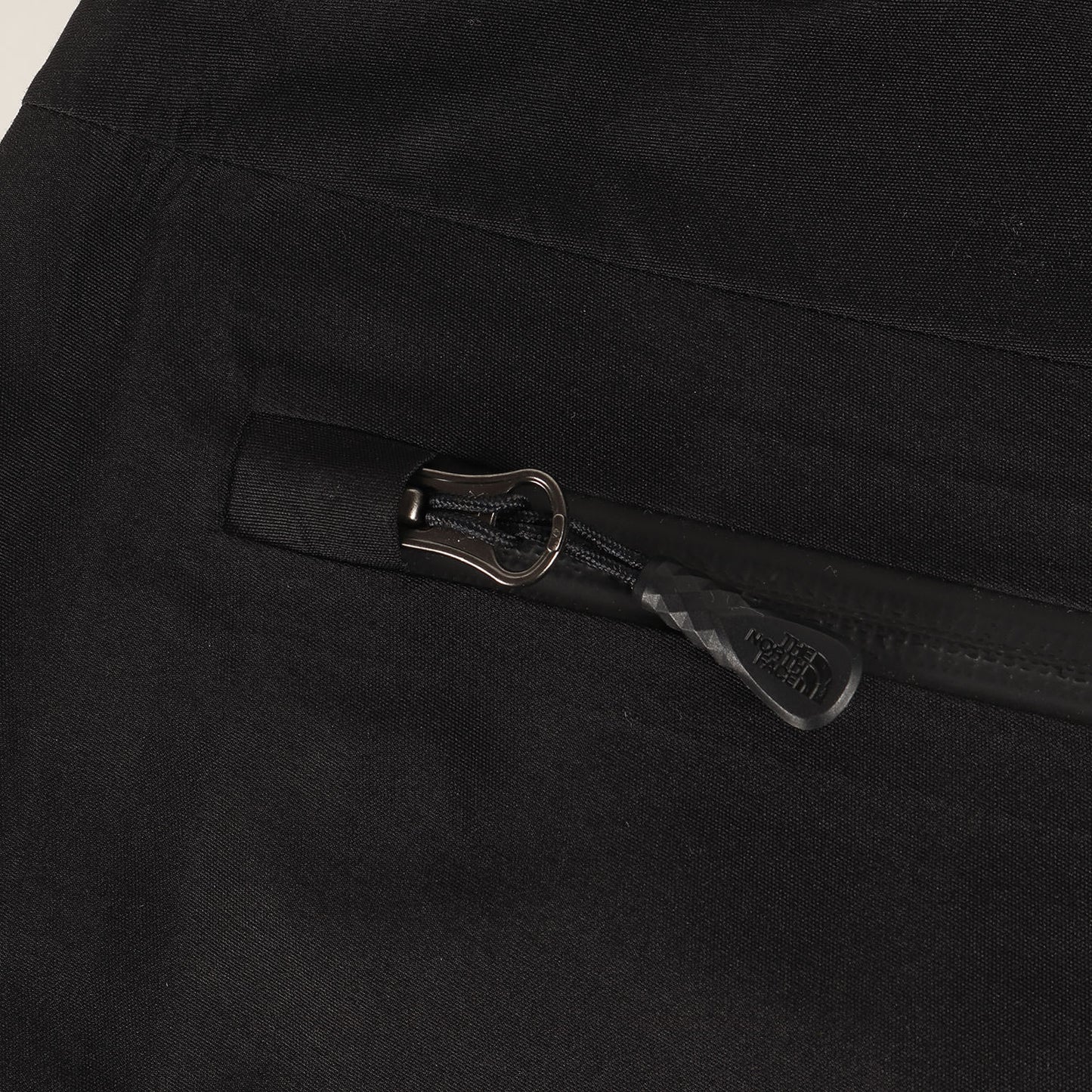 22SS ×THE NORTH FACE 3レイヤー レスキュー マウンテンパンツ(Summit Series Rescue Mountain Pant)