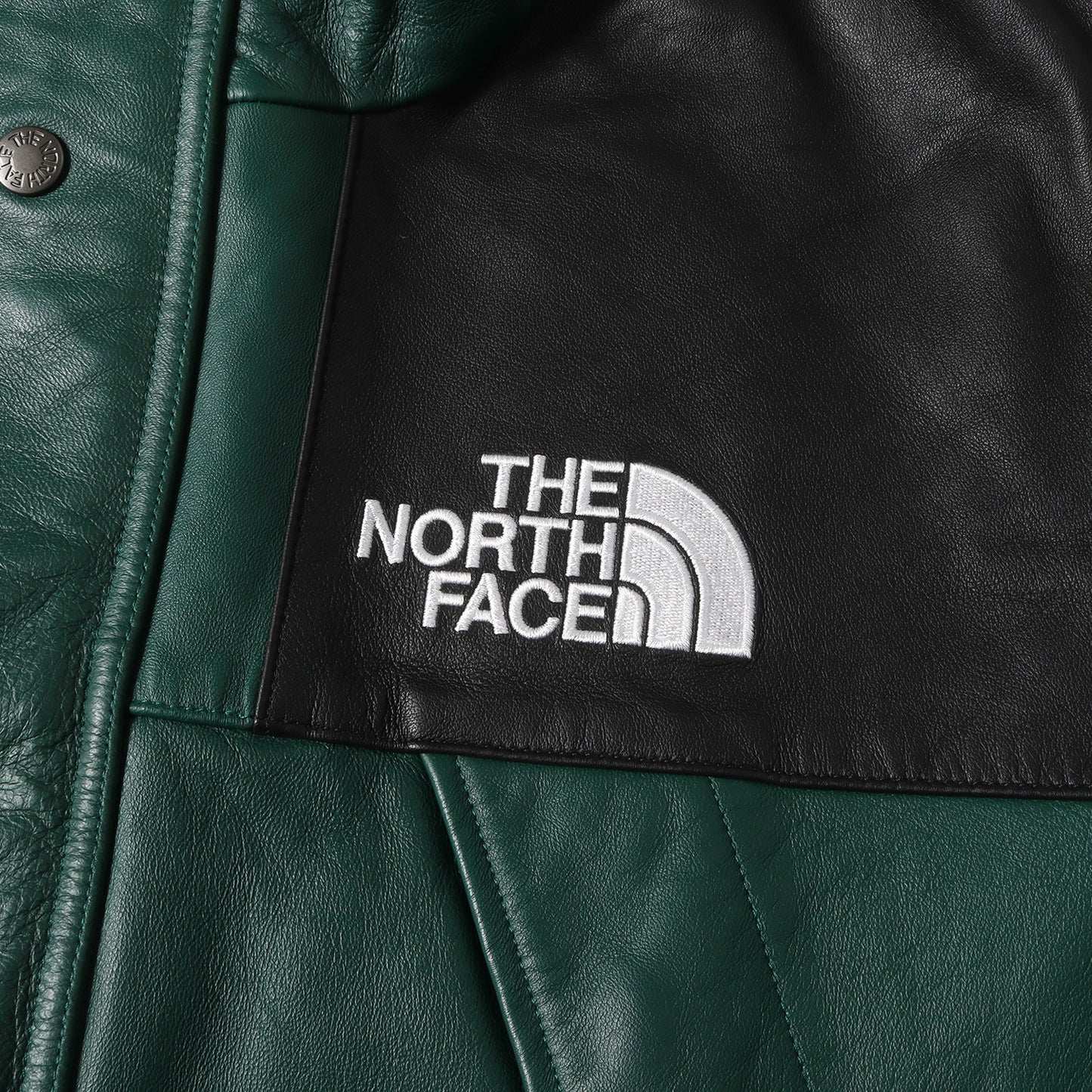 ×THE NORTH FACE シープスキンレザー マウンテンパーカー(Leather Mountain Parka)