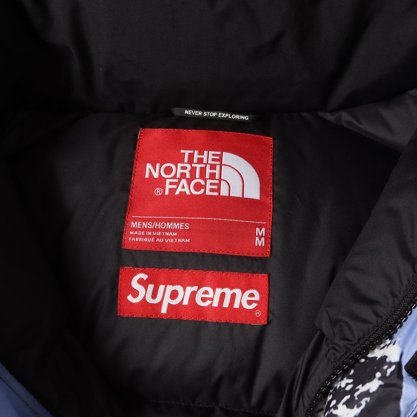 ×THE NORTH FACE 雪山柄 マウンテン バルトロ ダウンジャケット(Mountain Baltoro Jacket)