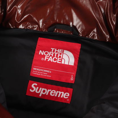 22AW ×THE NORTH FACE 700フィルパワー ダウンパーカー(700-Fill Down Parka)