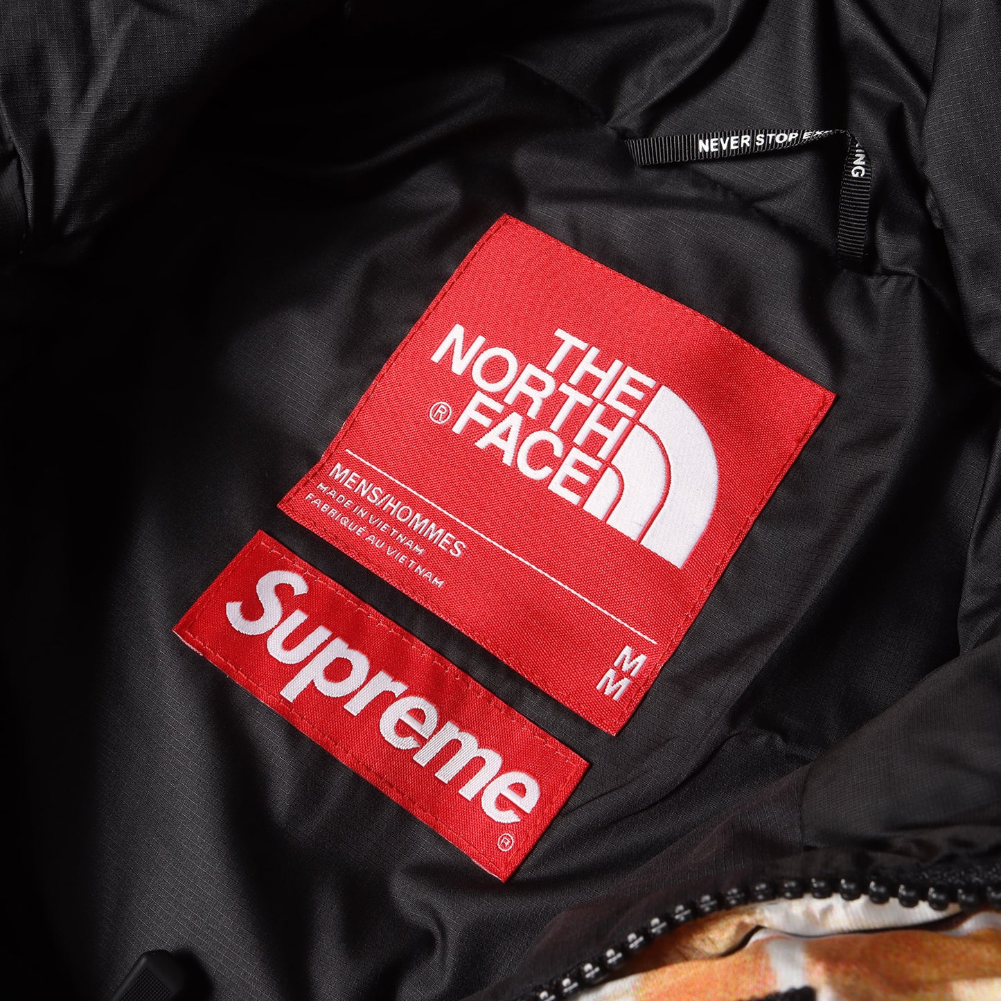 22AW ×THE NORTH FACE タイムズスクエア柄 ハーフジップ プルオーバー ダウンジャケット(800-Fill Half Zip Hooded Pullover)