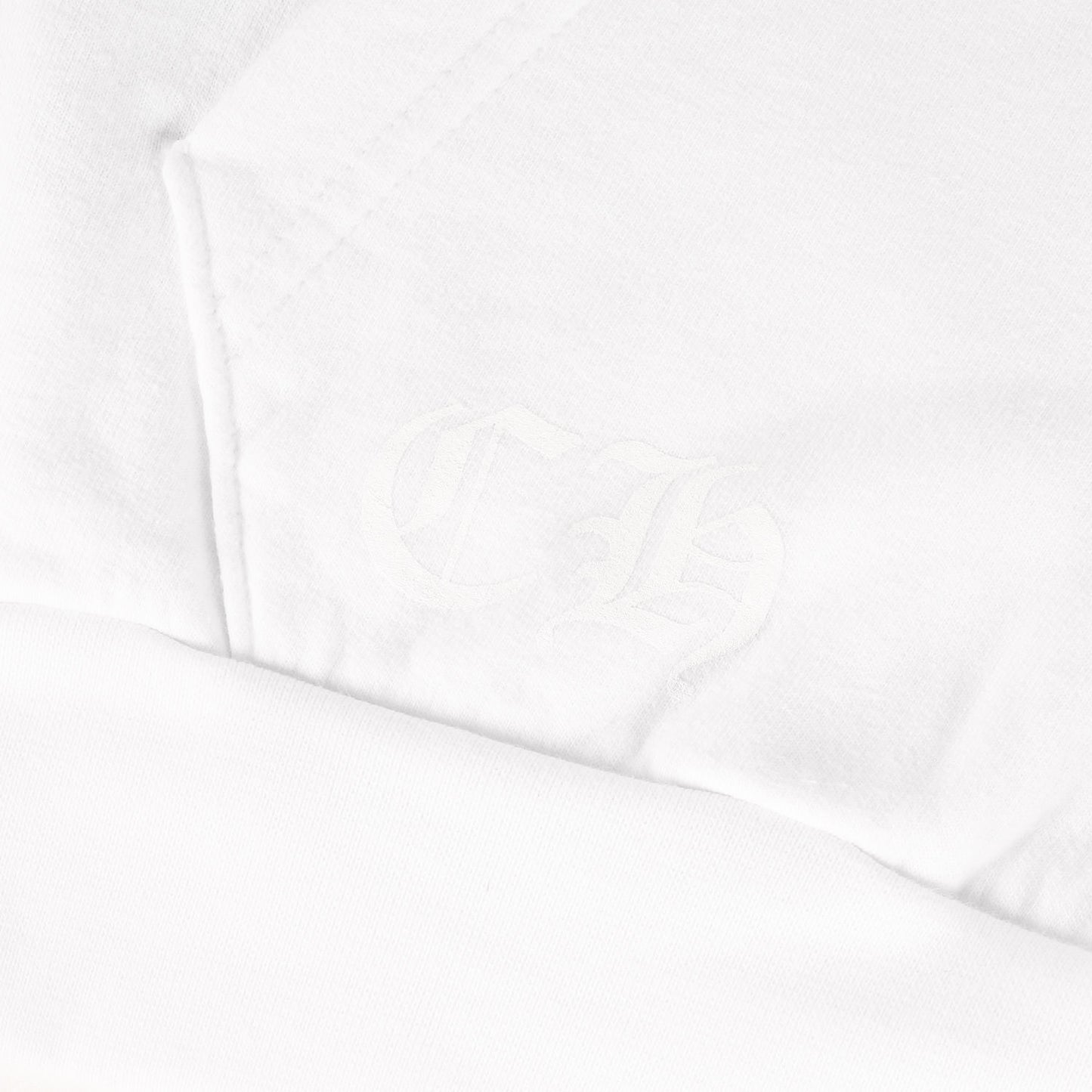 近年モデル ブランドロゴ スウェットパーカー(SWTSHRT PLV)