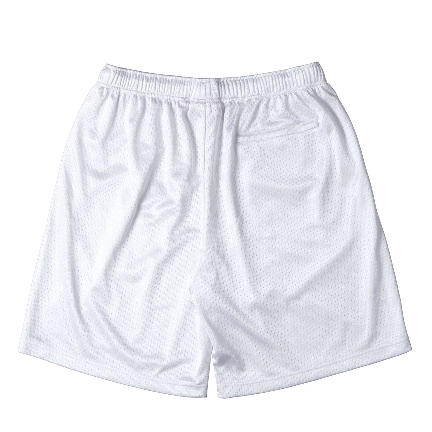 24SS スモールBOXロゴ バギー メッシュショーツ(Small Box Baggy Mesh Short)