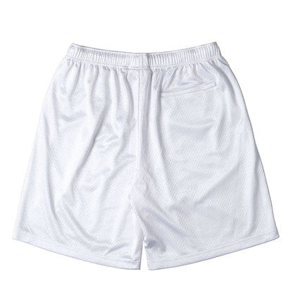 24SS スモールBOXロゴ バギー メッシュショーツ(Small Box Baggy Mesh Short)