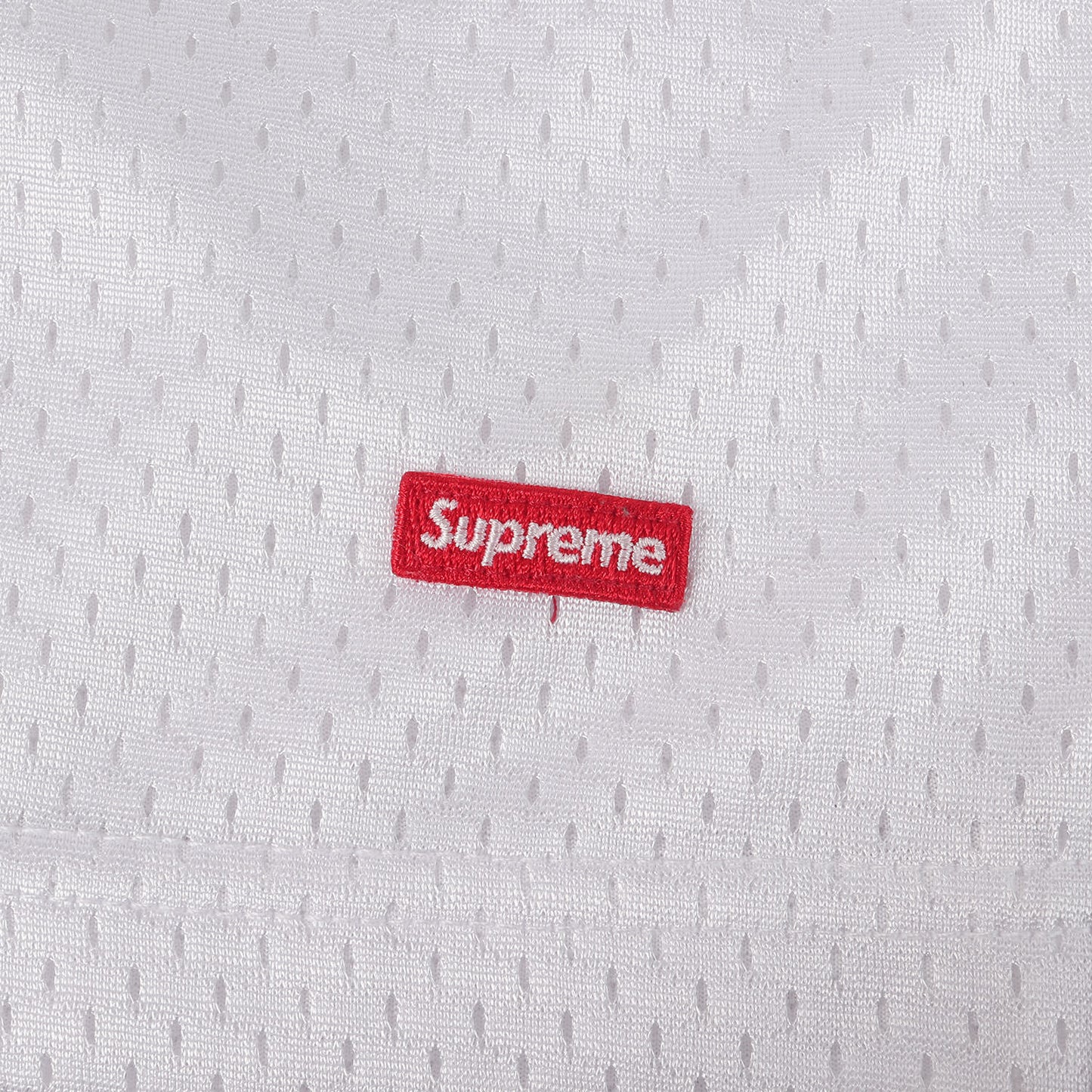24SS スモールBOXロゴ バギー メッシュショーツ(Small Box Baggy Mesh Short)