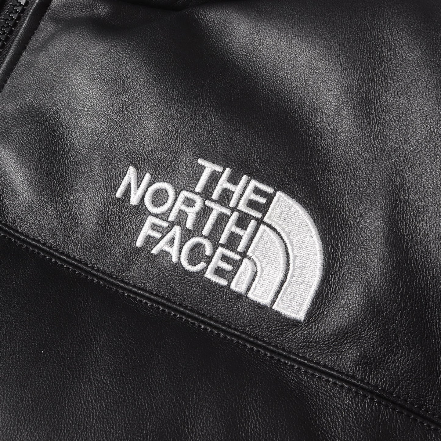 ×THE NORTH FACE シープスキンレザー ヌプシ ダウンジャケット(Leather Nuptse Jacket)
