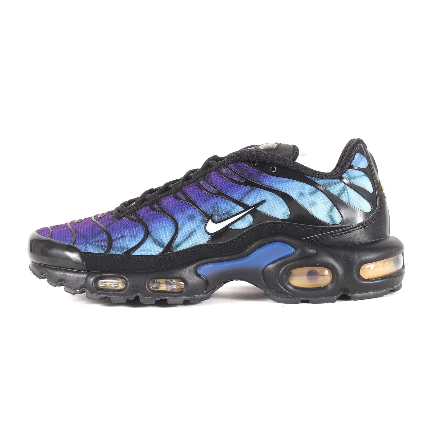AIR MAX PLUS 25周年記念 (FV0393-001)