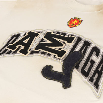23SS クラッシュダスト加工 ワッペンロゴ オーバーサイズ Tシャツ(SKATER OVERSIZED T-SHIRT)