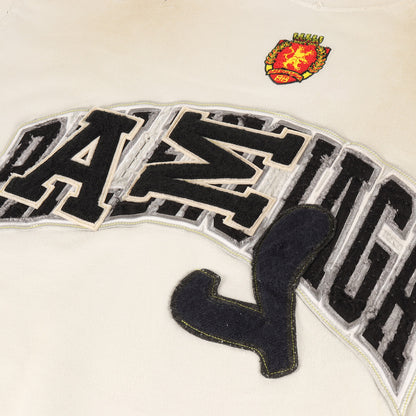 23SS クラッシュダスト加工 ワッペンロゴ オーバーサイズ Tシャツ(SKATER OVERSIZED T-SHIRT)
