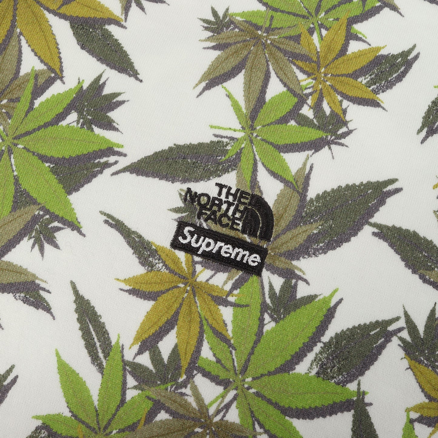23AW ×THE NORTH FACE リーフ柄プリント Tシャツ(Leaf S/S Top)