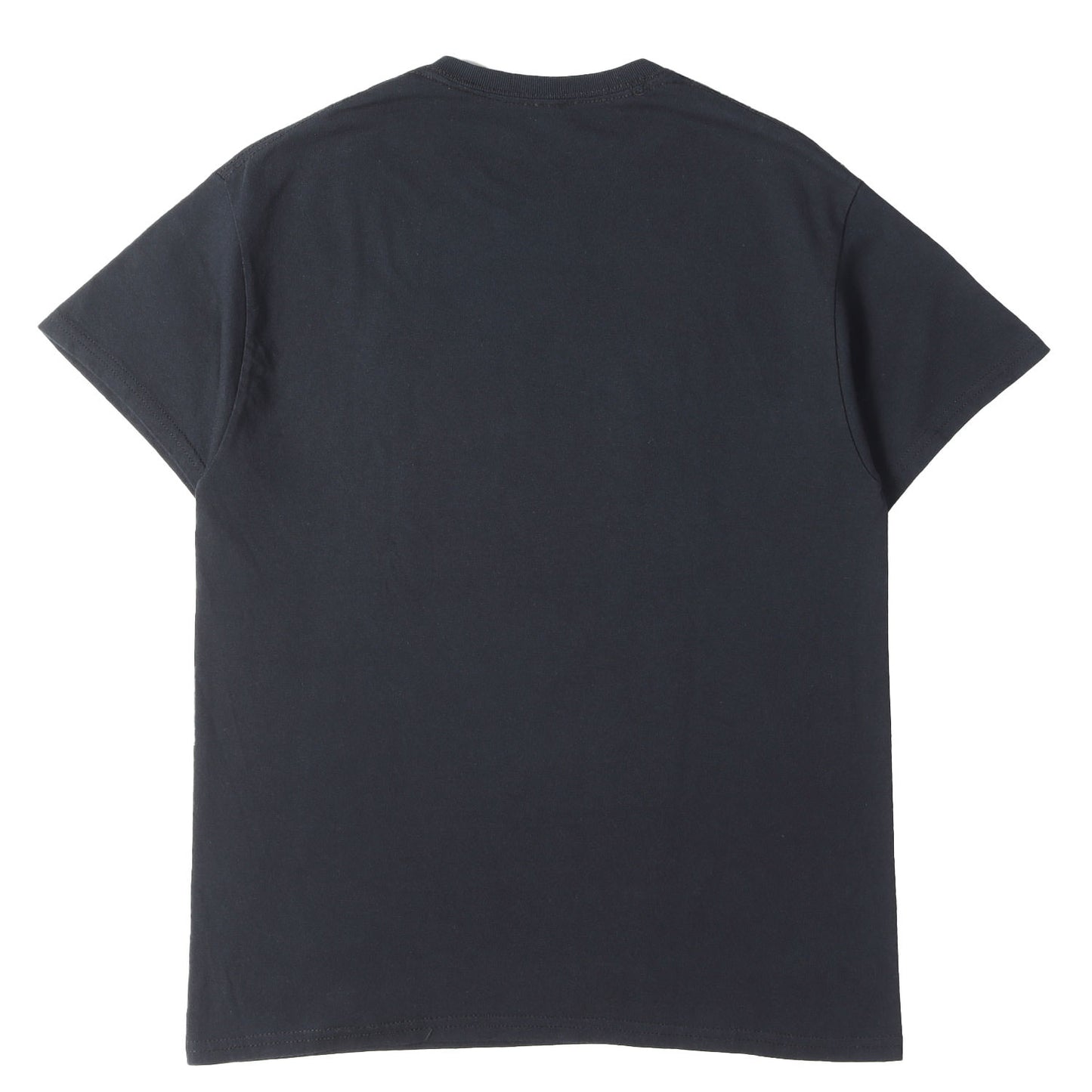 25SS 古着リメイク アリアナ・グランデ BOXロゴ Tシャツ